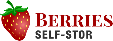 berries self stor logo